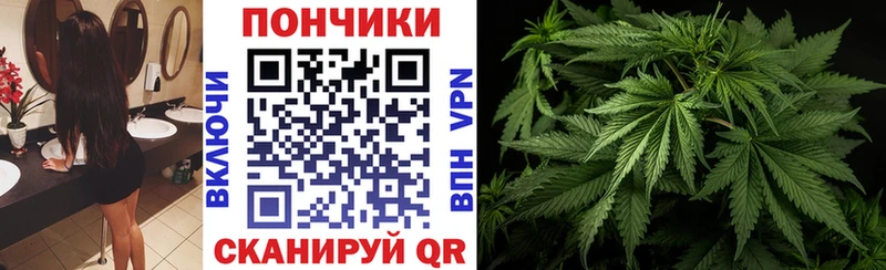 Шишки марихуана White Widow Большой Камень